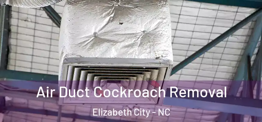  Air Duct Cockroach Removal Elizabeth City - NC