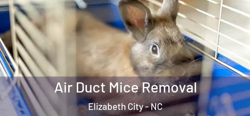  Air Duct Mice Removal Elizabeth City - NC