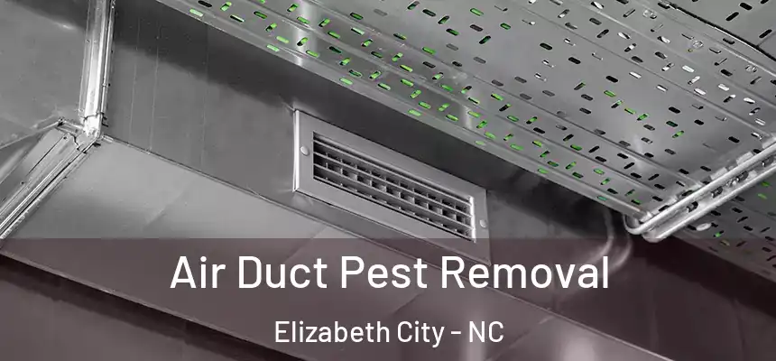 Air Duct Pest Removal Elizabeth City - NC