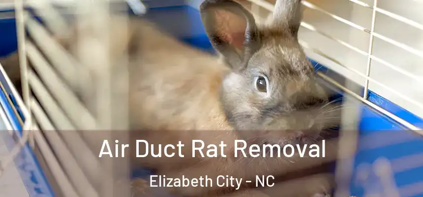  Air Duct Rat Removal Elizabeth City - NC