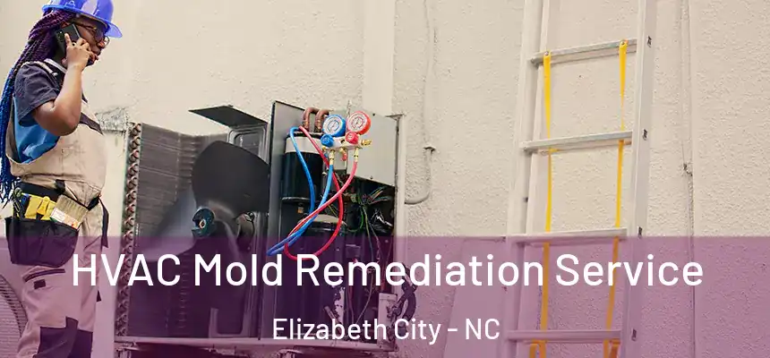 HVAC Mold Remediation Service Elizabeth City - NC