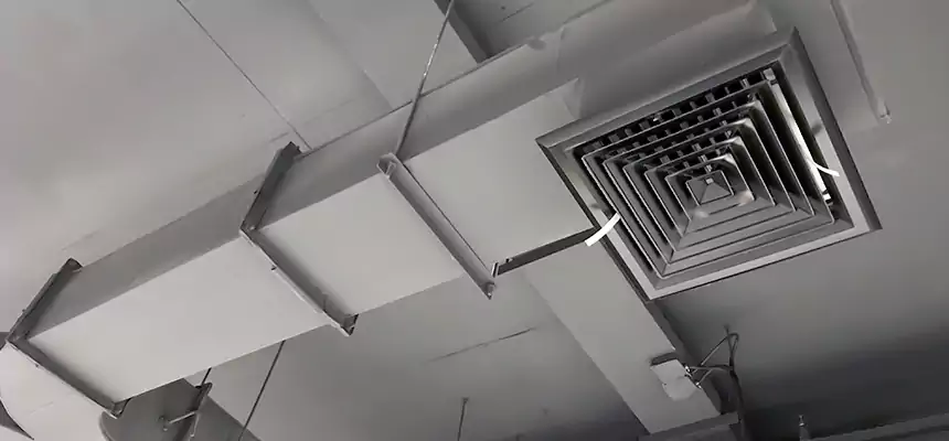 Restorative Allergy Relief Vent Cleaning – Coil, Blower & Housing Detail in Elizabeth City