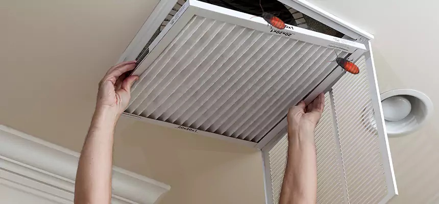 Our Insect Removal from Air Ducts Services in Elizabeth City, NC