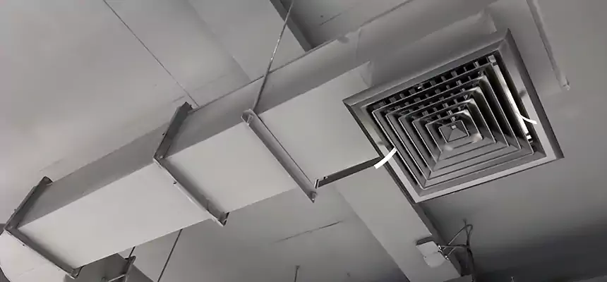 Our Pest Removal From Ducts Services in Elizabeth City, NC