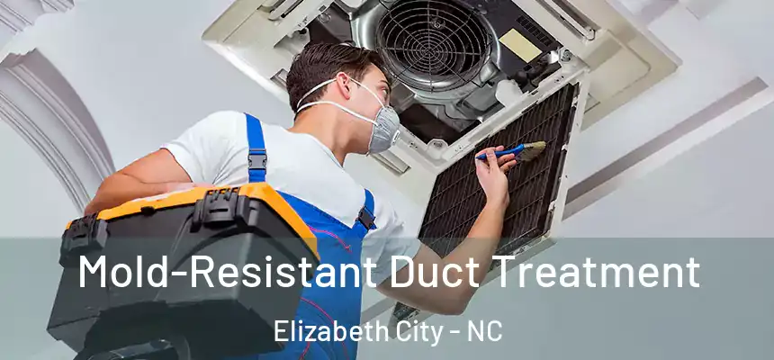 Mold-Resistant Duct Treatment Elizabeth City - NC