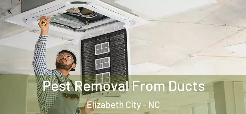 Pest Removal From Ducts Elizabeth City - NC