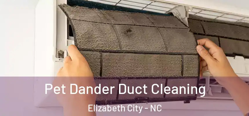 Pet Dander Duct Cleaning Elizabeth City - NC