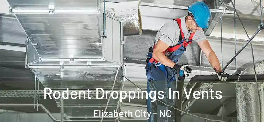 Rodent Droppings In Vents Elizabeth City - NC