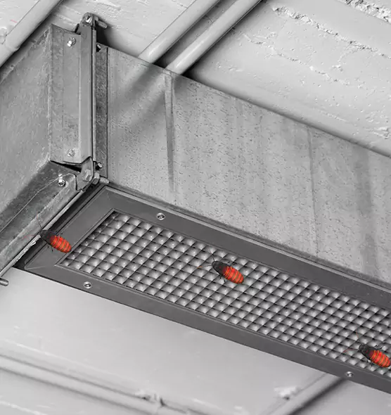 About Air Duct Cockroach Removal in Elizabeth City, NC
