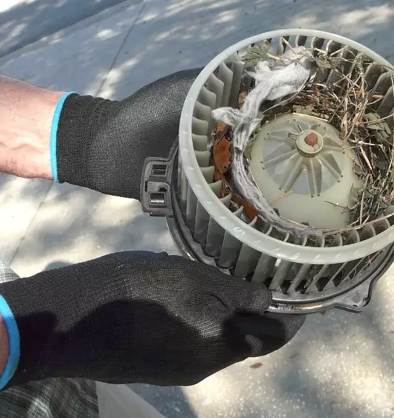 About Air Duct Rat Removal in Elizabeth City, NC