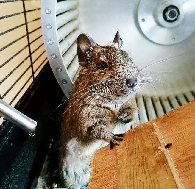 Why Homeowners & Businesses Trust Us Elizabeth City, NC