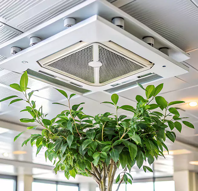 Why Homeowners & Businesses Trust Us in Elizabeth City, NC