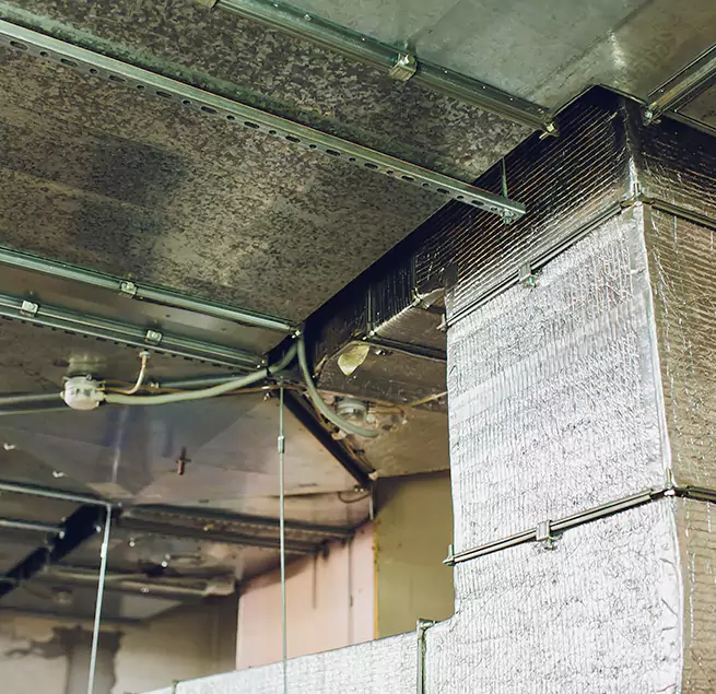 Why Homeowners & Businesses Trust Us in Elizabeth City, NC?